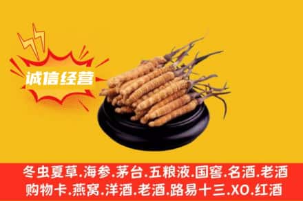鹰潭回收冬虫夏草